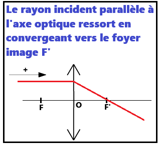 rayon passant par F' pour les lentilles convergentes et divergentes